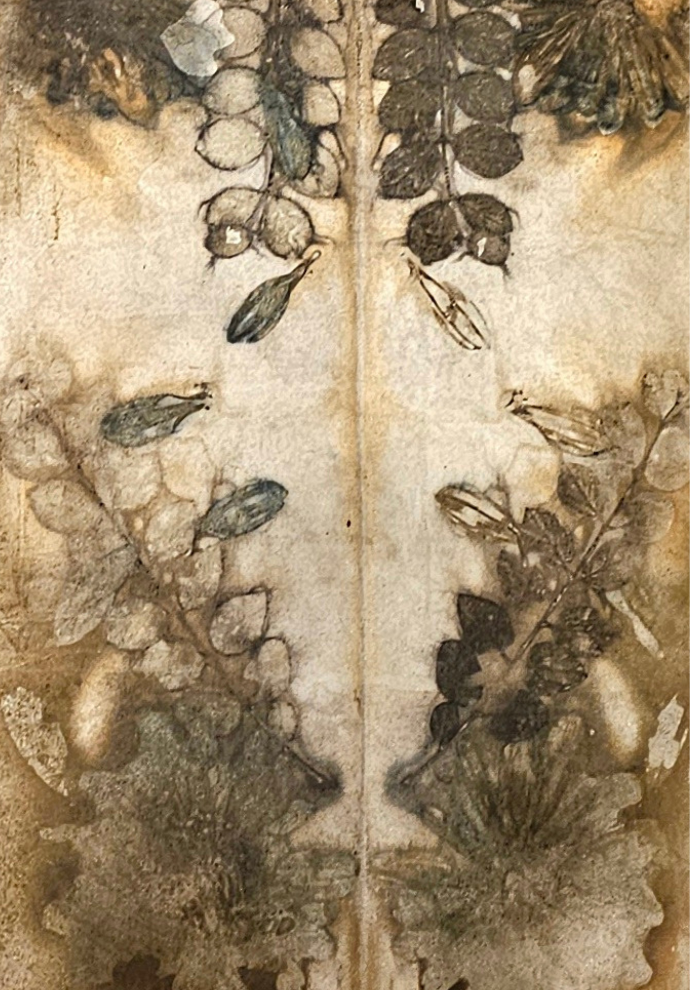 Botanic eco contact printing - Saturday 15th November - 1pm