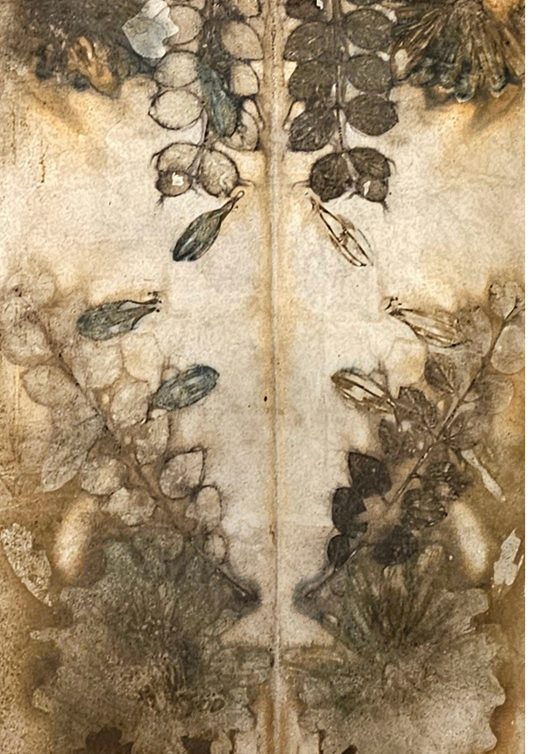 Botanic eco contact printing - Saturday 15th November - 1pm